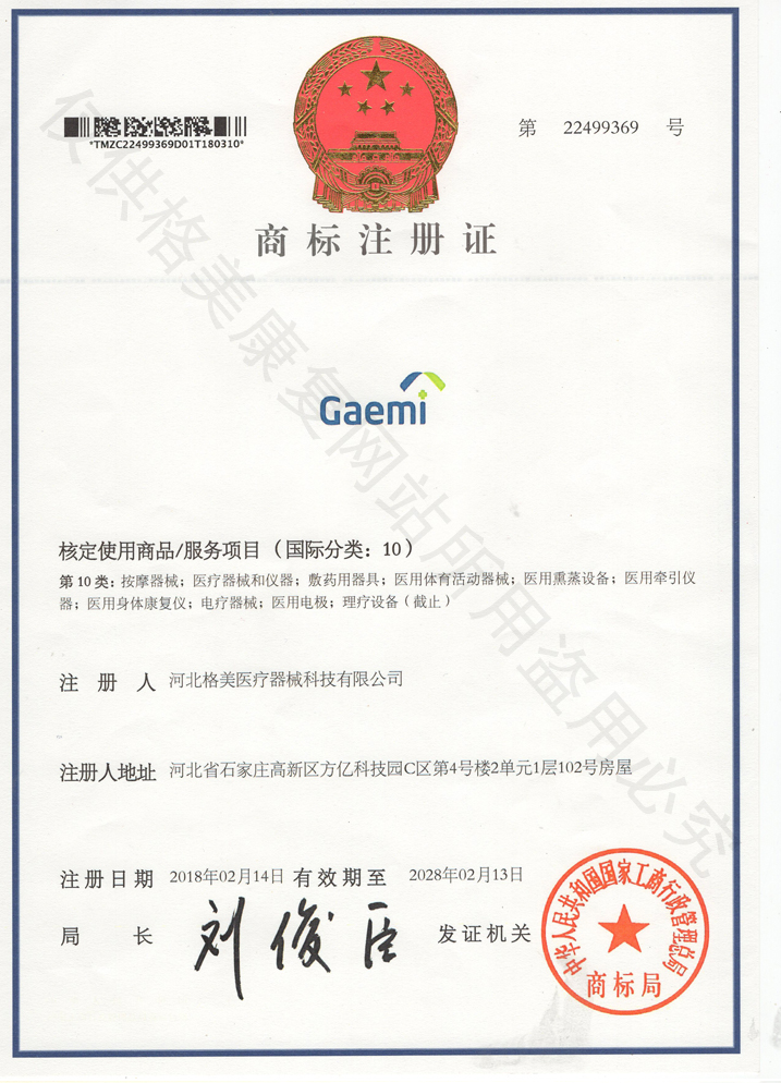 Gaemi商标证书 第10类(图1)