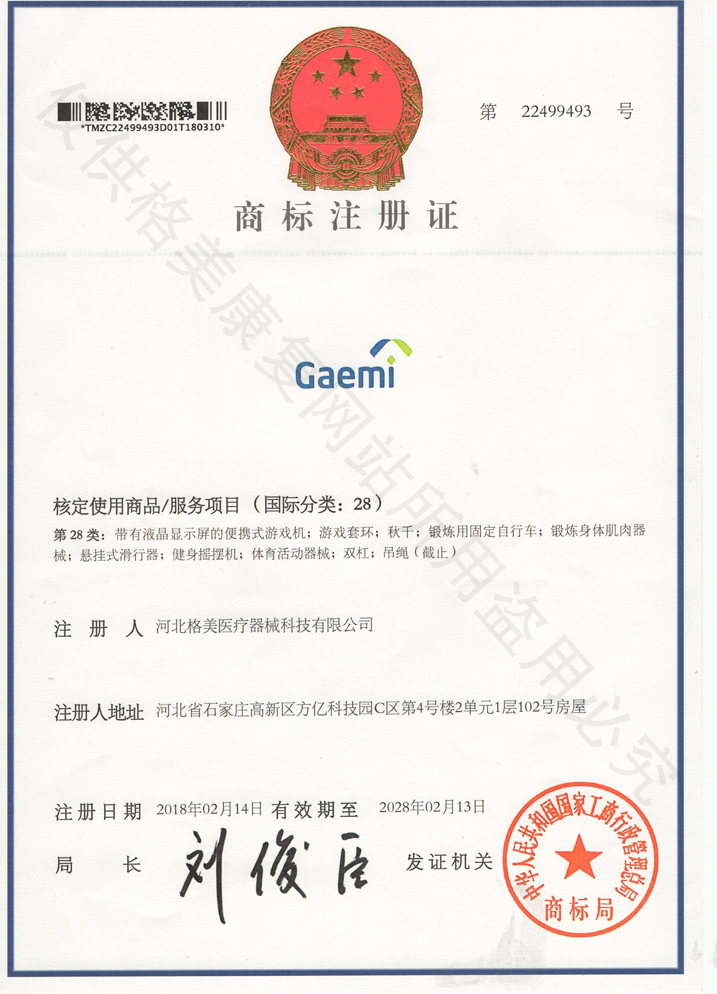 Gaemi商标证书 第28类(图1)